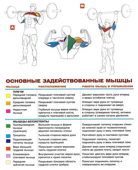 Жим штанги стоя: лучшее упражнение для прокачки плеч