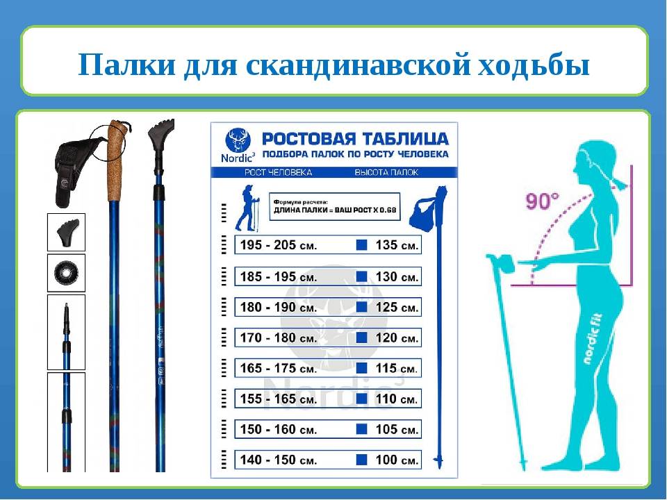 Скандинавская ходьба наши советы для начинающих
