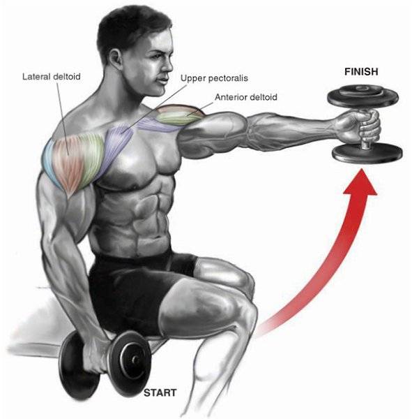 Джей катлер — тренировка плеч базовыми и изолирующими упражнениями |
