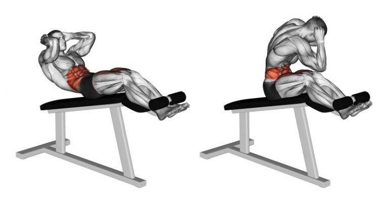 Римский стул – особенности и виды тренажера, техника упражнений