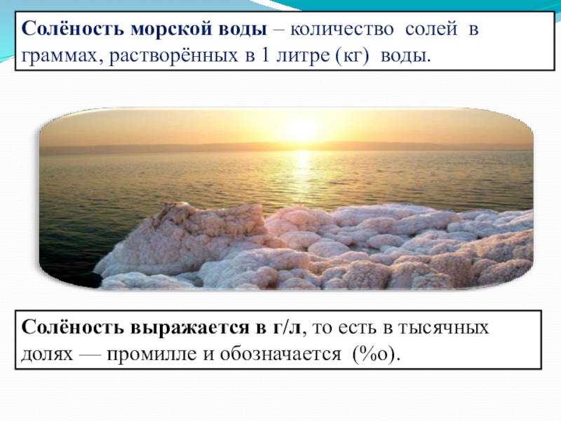 Чем отличается азовское море от черного моря