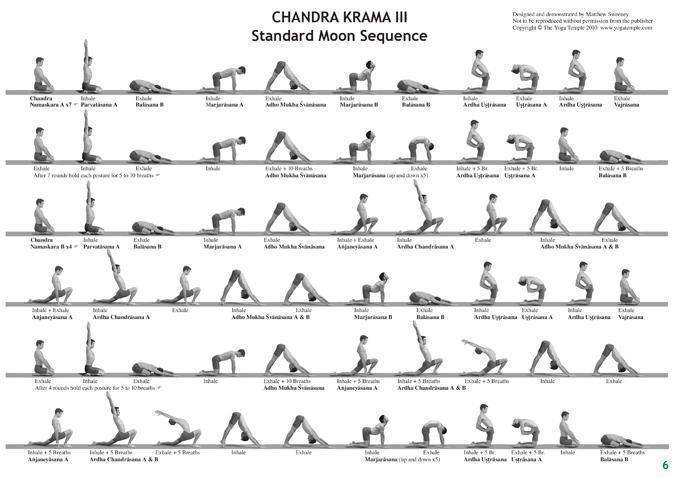 Основные отличия хатха йоги от практик аштанга, кундалини и айенгара