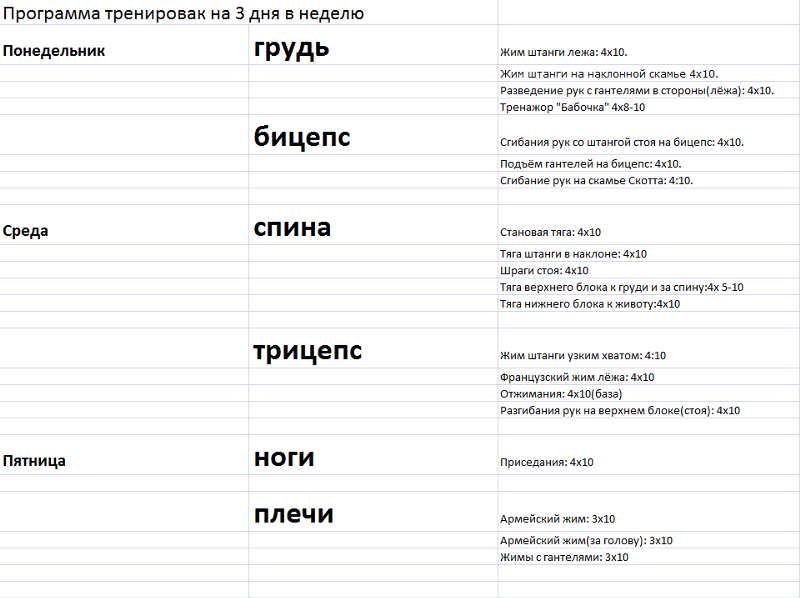 План тренировок для мужчин в тренажерном зале 2 раза в неделю для мужчин