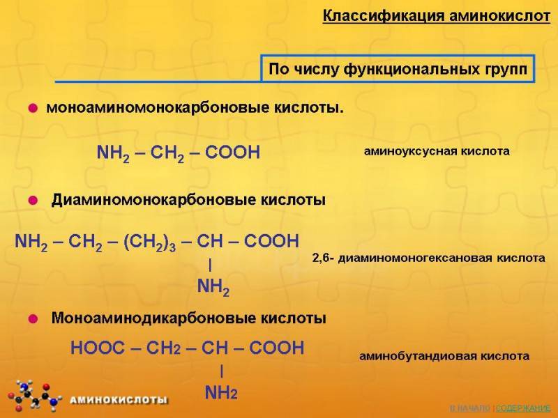 Аминокислоты: разновидности, эффекты и схемы приема