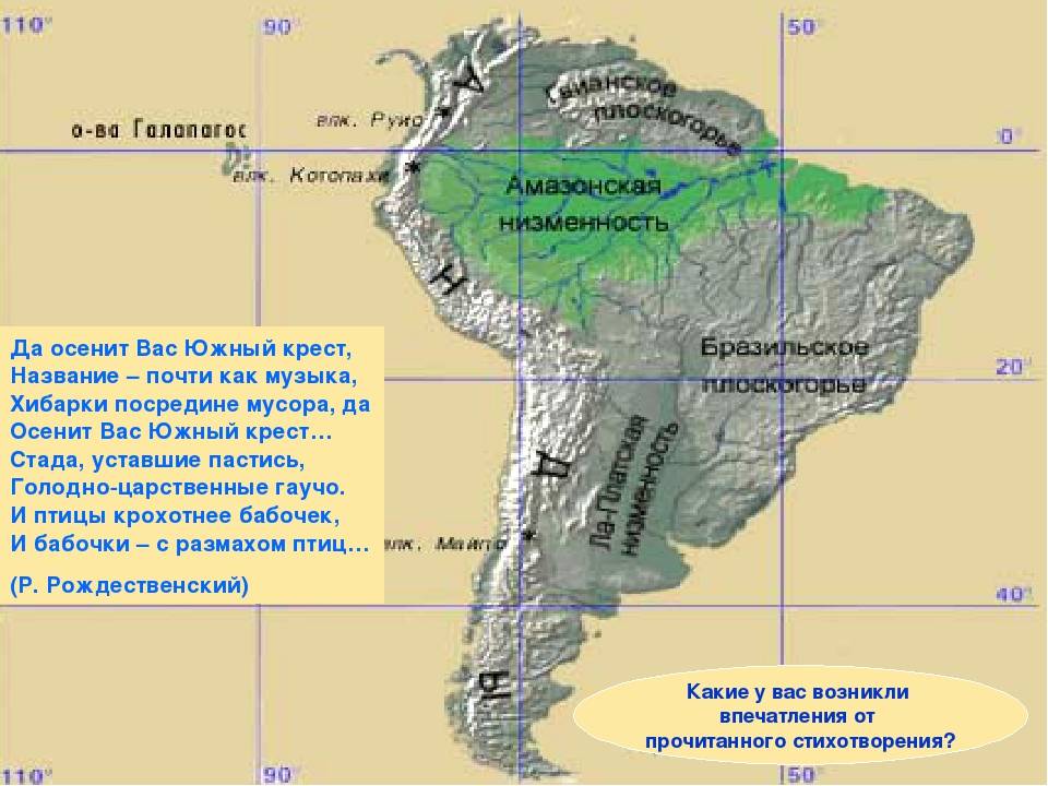 Река амазонка: карта, исток, длина, куда впадает, глубина