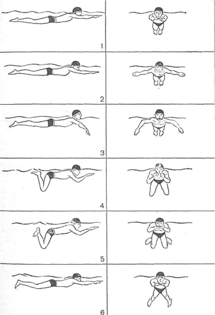 Как научиться плавать брассом: правильная техника