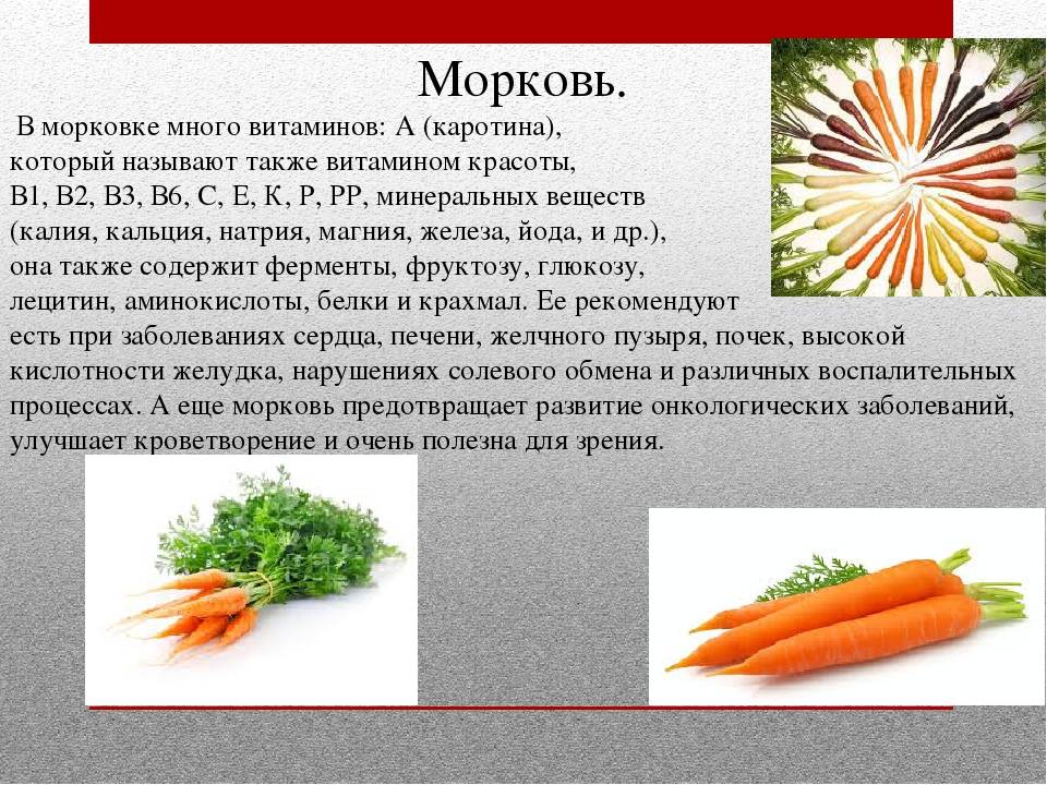 Морковь — польза и вред для здоровья человека, свойства и противопоказания