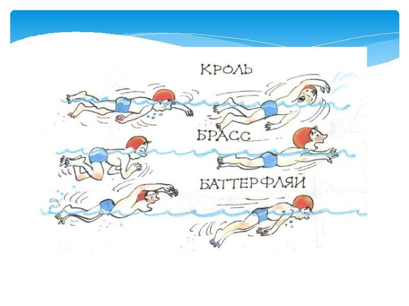 Стили плавания - описание, фото, названия и техника всех спортивных видов и способов, как правильно плавать в бассейне начинающим