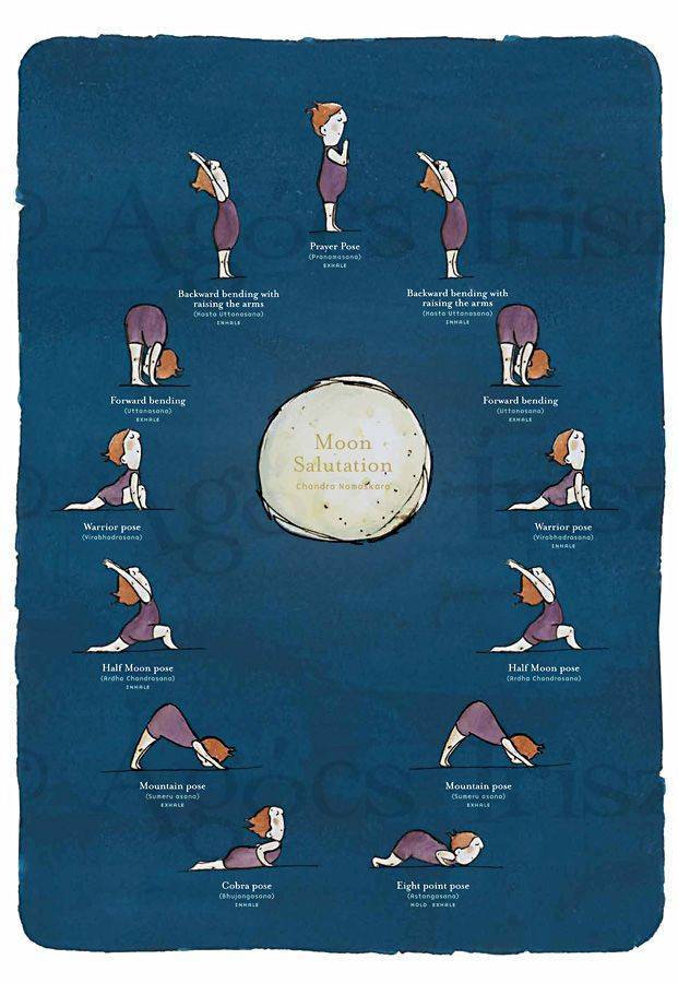 Комплекс «чандра намаскар» (поклонение луне) | федерация йоги