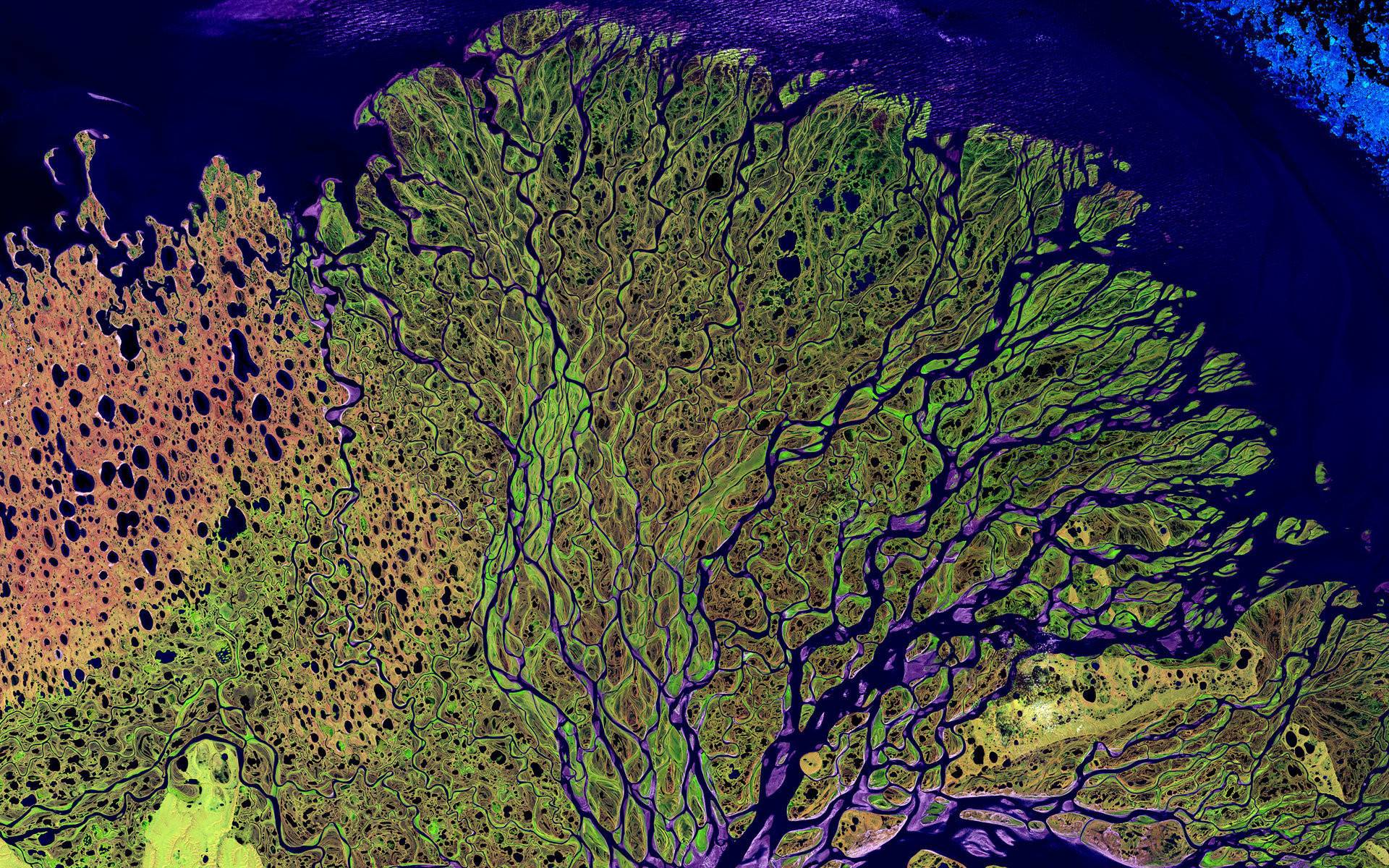 Одна из красивейших в мире — дельта реки Лена и ее описание
