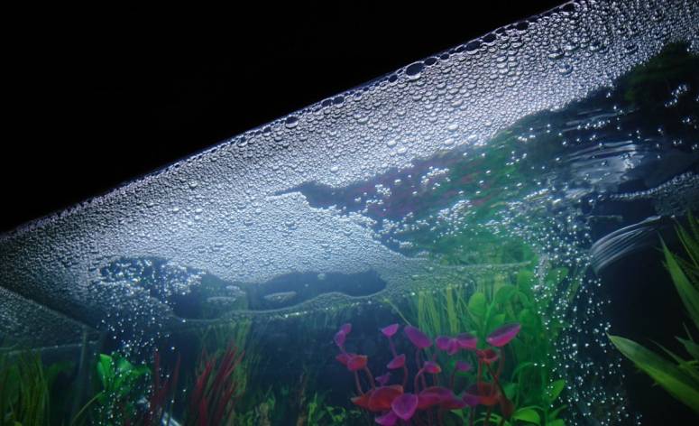 Важный вопрос — почему пенится вода в аквариуме и что с этим делать?