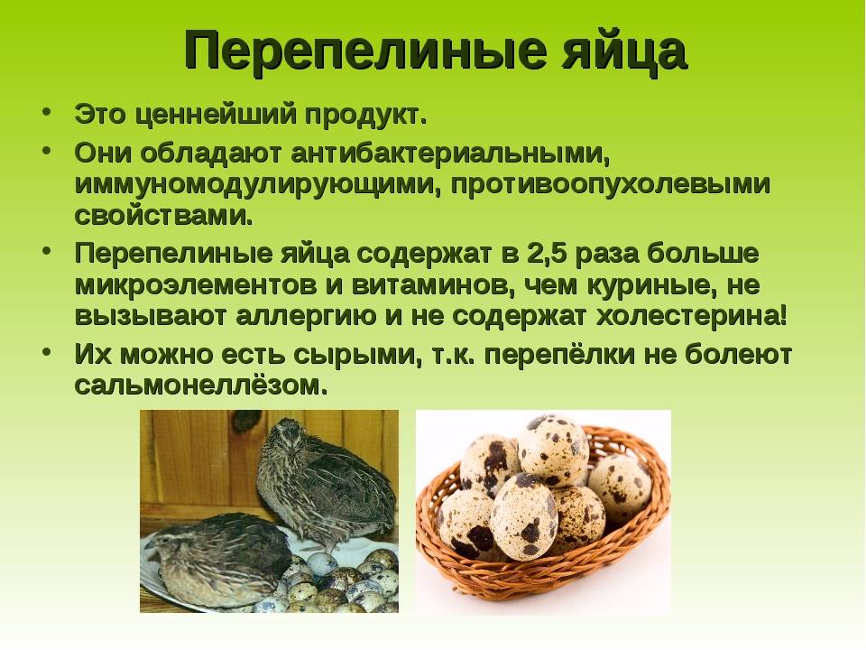Перепелиные яйца: польза и вред, как употреблять для мужчин, женщин, сырые