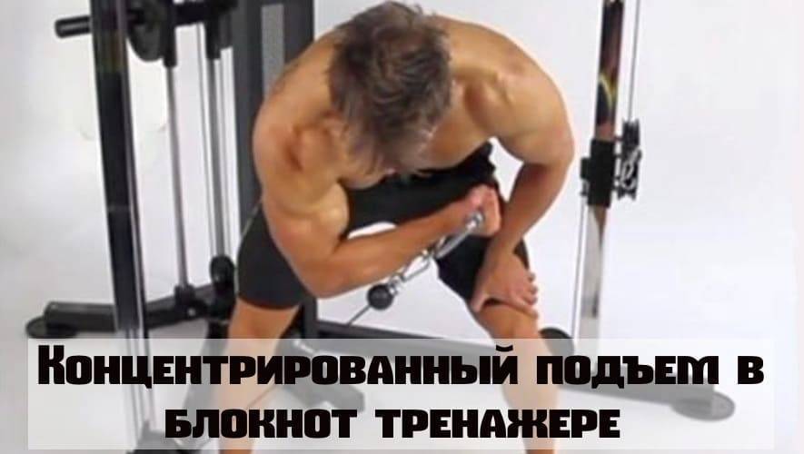 Как накачать бицепс в домашних условиях: программа тренировок, эффективные упражнения - tony.ru