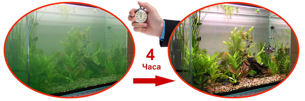 Жесткость воды в аквариуме: как определить, повысить или снизить