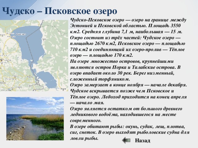 Чудское озеро, гдов. базы отдыха, рыбалка, погода, где находится, как добраться, фото, видео на туристер.ру