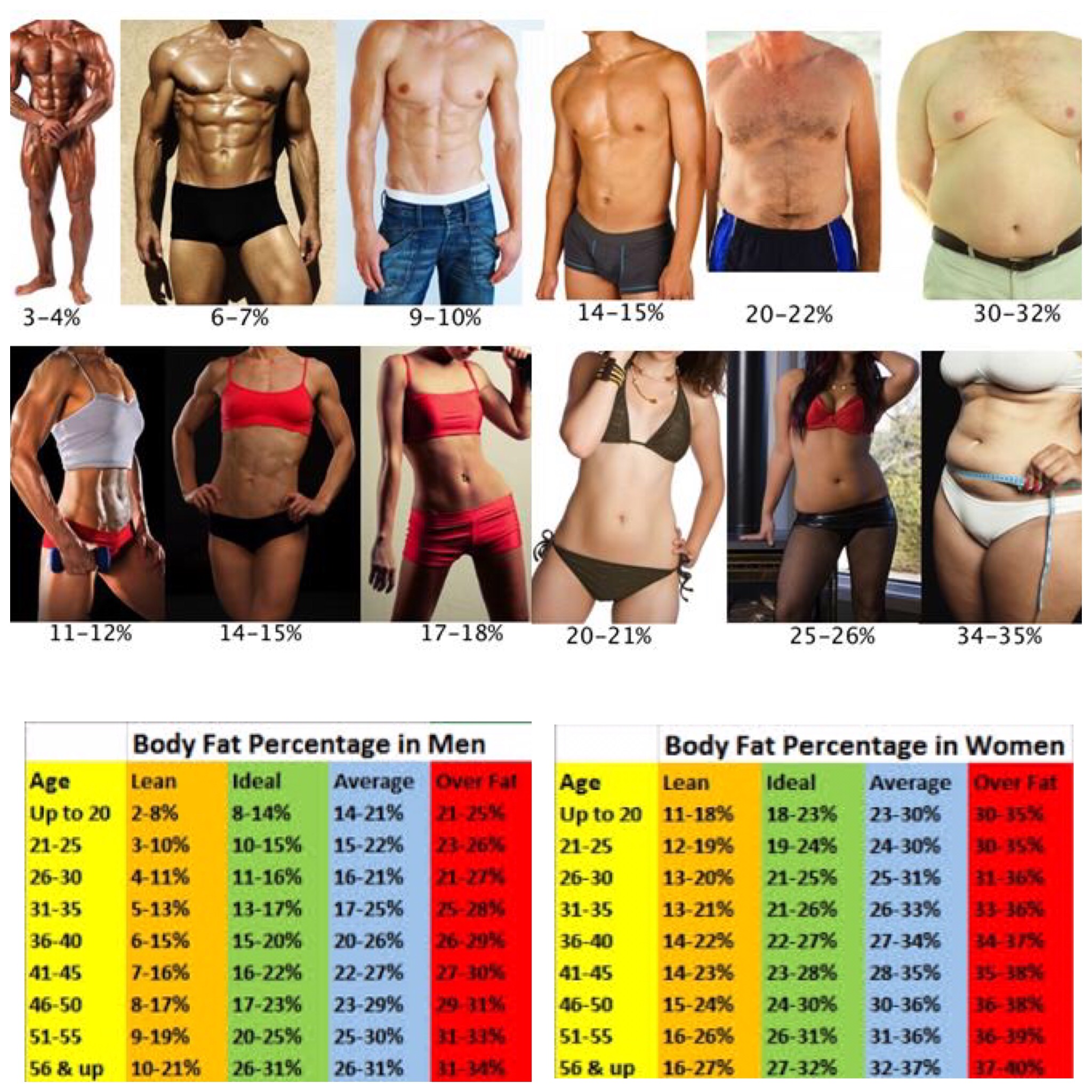 Как определить процент жира в организме и о чем говорит процентное соотношение жирвой ткани в теле