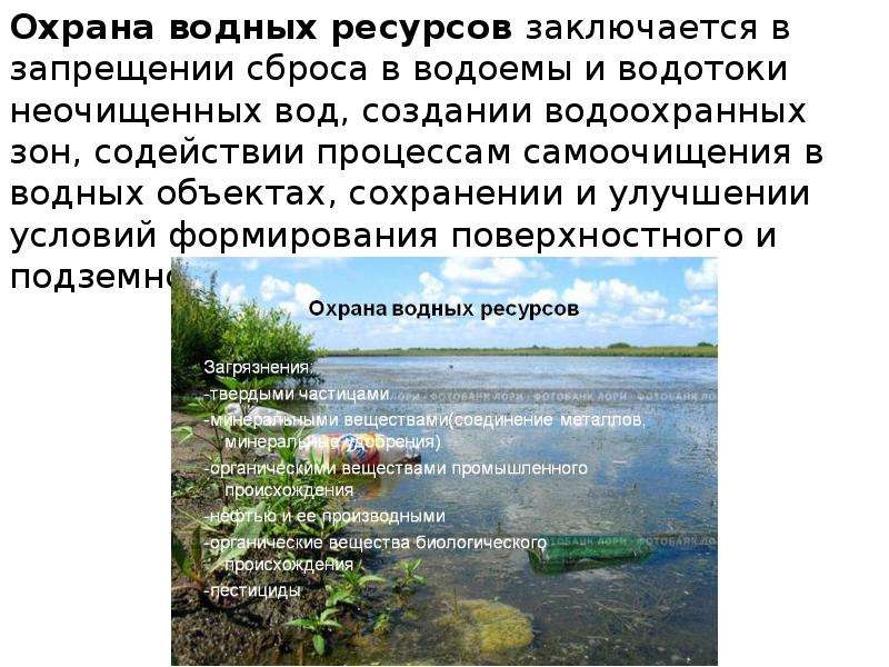 Что люди делают для охраны рек от вредного влияния антропогенной деятельности? :: syl.ru