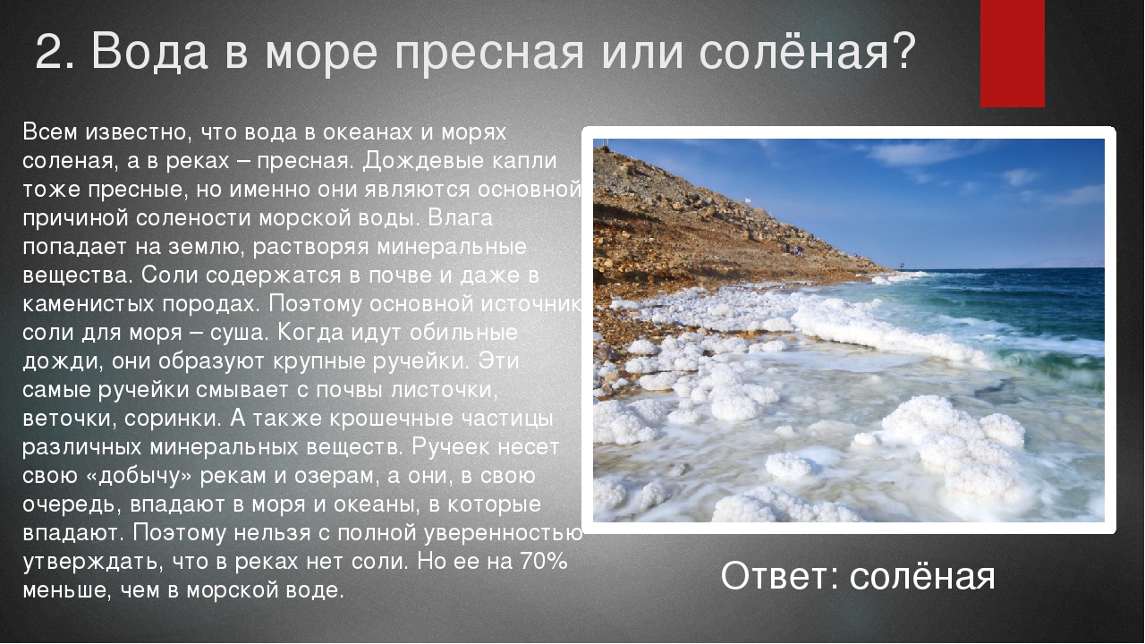Соленость океанических вод: влияние расположения и других факторов, показатели мирового океана | tvercult.ru