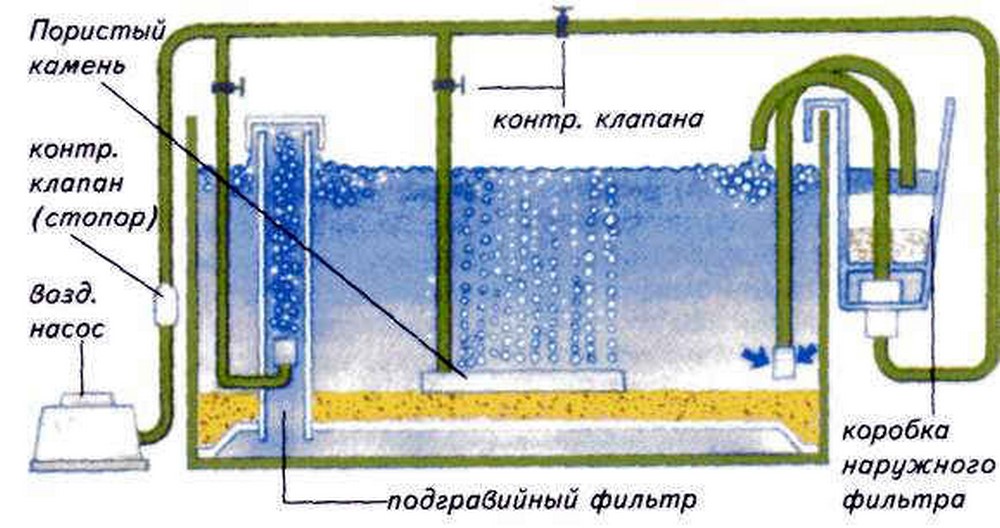 Фильтр для аквариума внешний своими руками схема