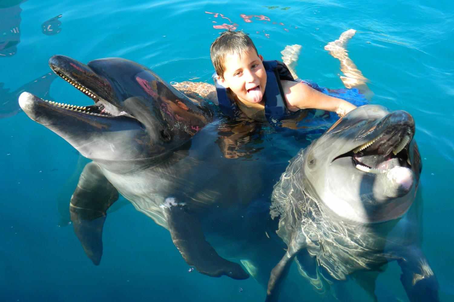 8 чудесных мест, где можно поплавать с дельфинами | by alisa odintsova | clickavia.ru blog | medium