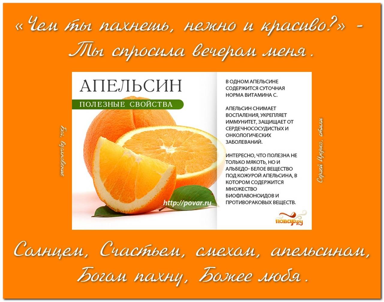 Книга елены поповой апельсинки для бывшего. Апельсин польза. Полезные свойства апельсина. Что полезно в апельсине. Полезные витамины в апельсине.