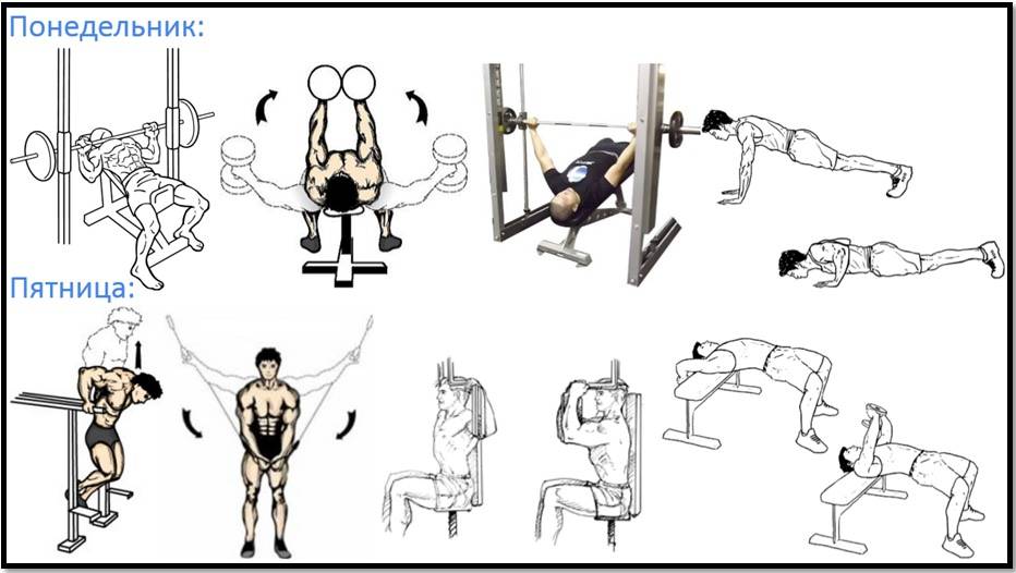 Грудные мышцы у мужчин: как правильно накачать? схемы, фото, видео уроки самых эффективных упражнений