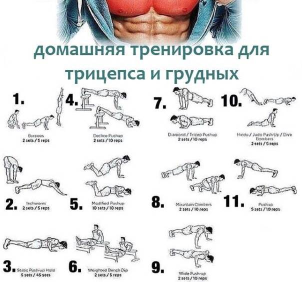 Топ-7 видов отжиманий на плечи, которыми можно подкачать мышцы + 2 пример тренировки для дома