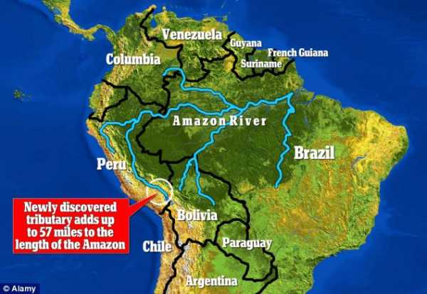 Река амазонка - описание, характеристика положения и особенности хозяйственного использования