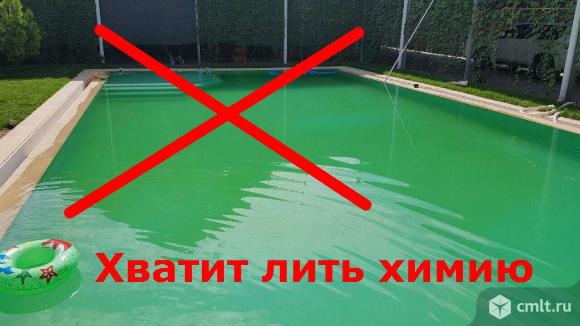 Зеленеет вода в бассейне: что делать, как почистить