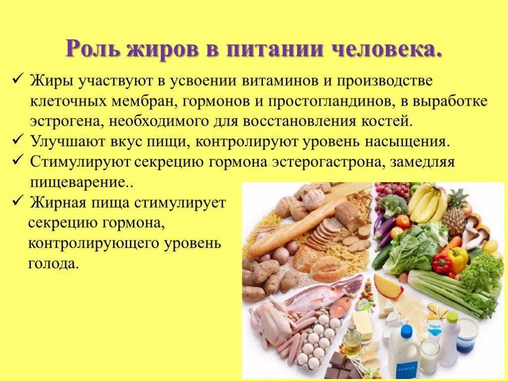 Употребление каких пищевых продуктов наиболее. Основная функциональная роль жиров в питании. Жиры в питании человека. Ролььжиров в питании человека. Роль растительных жиров в питании человека.