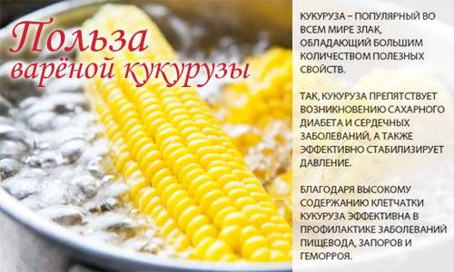 Калорийность кукуруза в початке вареная. химический состав и пищевая ценность.