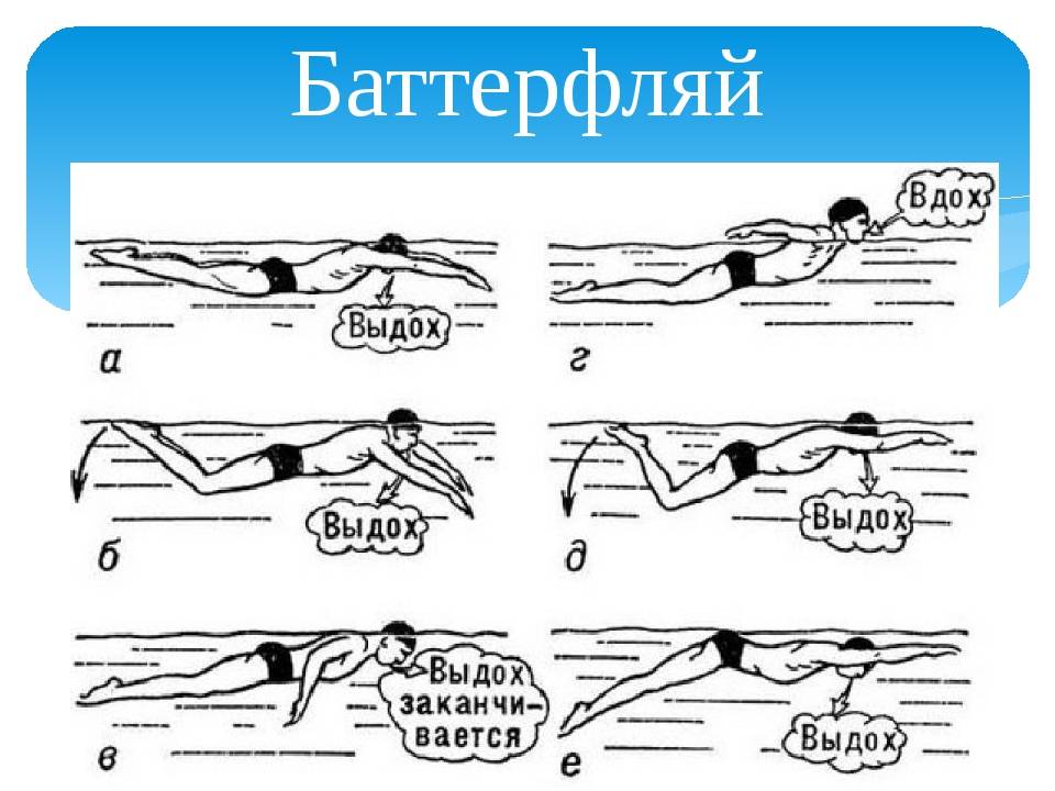 Как научиться плавать? самоучитель по плаванию для начинающих взрослых - tony.ru