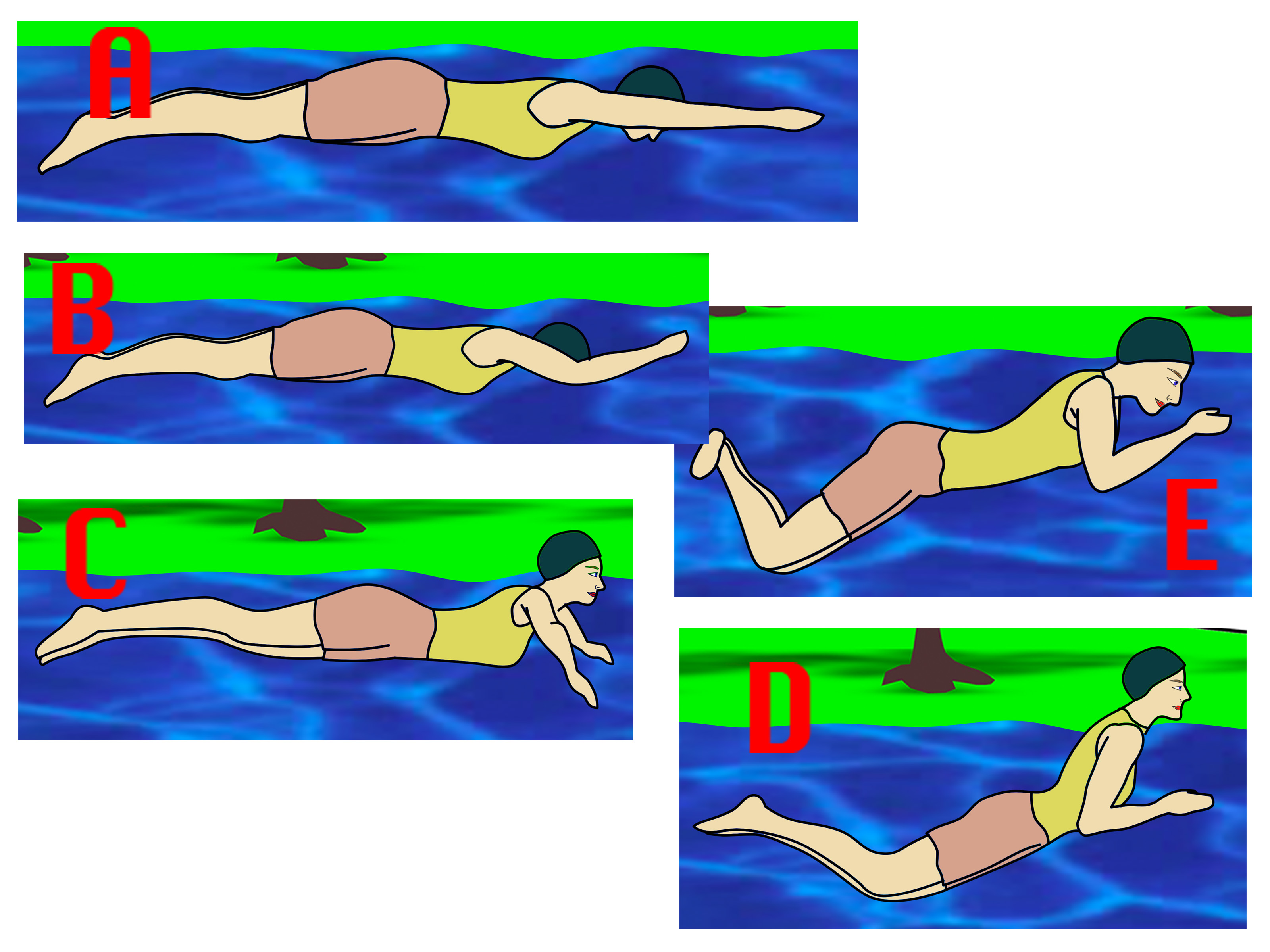 Плавание брассом: техника плавания для начинающих