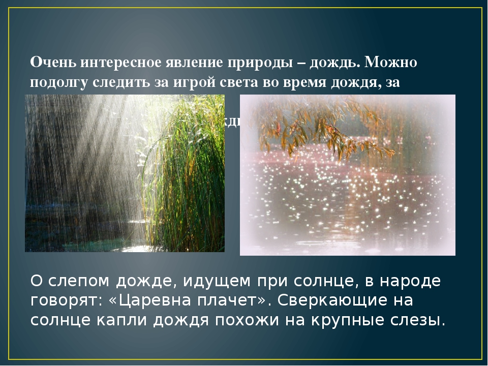 Дождь - это природное явление. как образуется капля дождя? круговорот воды в природе: схема :: syl.ru