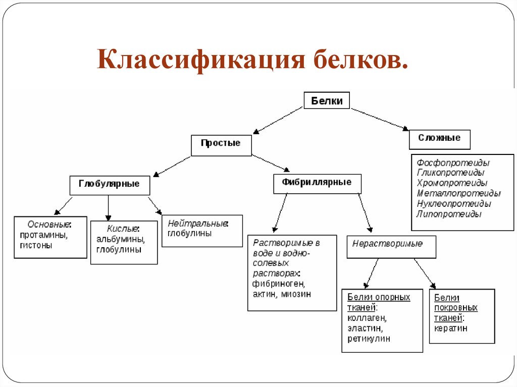 Виды белков картинки