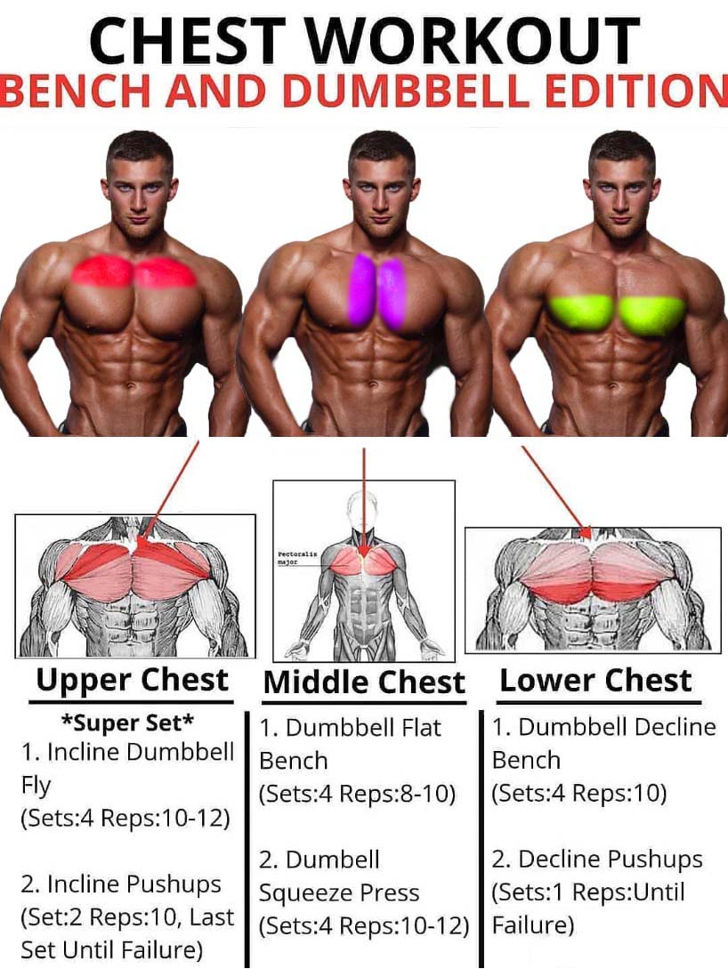 качать мышцу груди для мужчин фото 10
