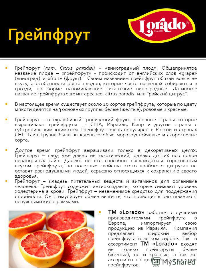 Грейпфрут польза и вред для здоровья организма женщины, мужчины