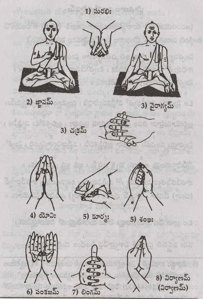 Шамбхави-мудра: видео с садгуру, а также техника выполнения для открытия третьего глаза