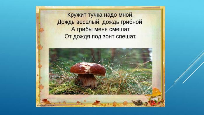 Чем отличается грибной дождь от слепого? - справочник по саду и огороду