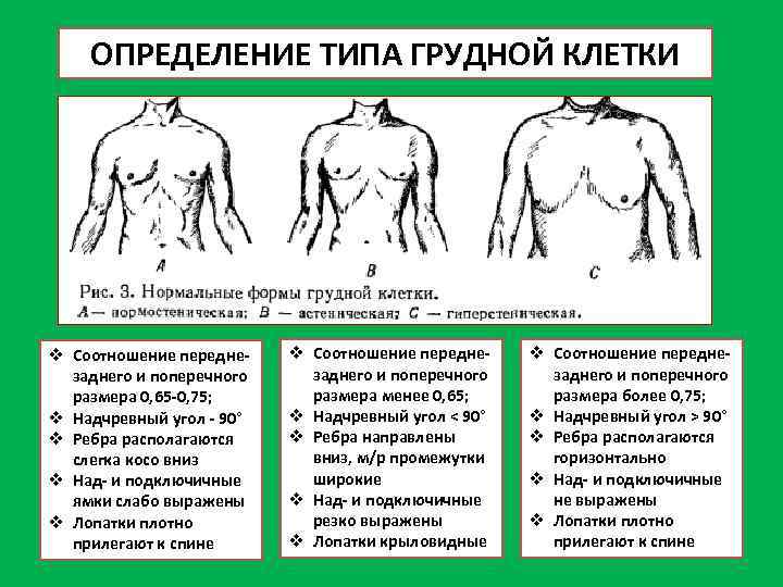 Влияние ширины хвата и положения рук на мышечную активность во время подтягиваний и тяг верхнего блока