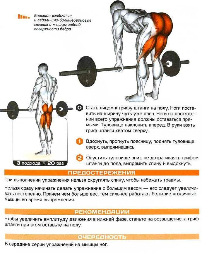 Становая тяга на прямых ногах: особенности упражнения | rulebody.ru — правила тела