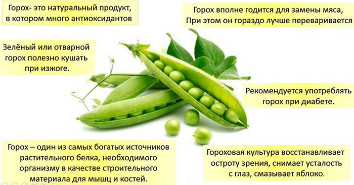 Горох (зеленый горошек): польза и вред для организма, калорийность