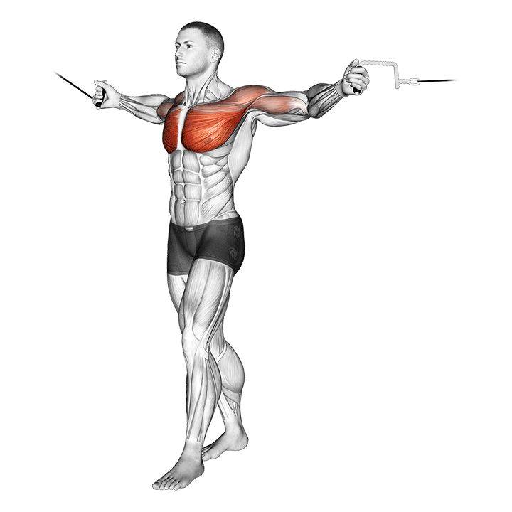 Упражнение кроссовер — проработка для грудных мышц