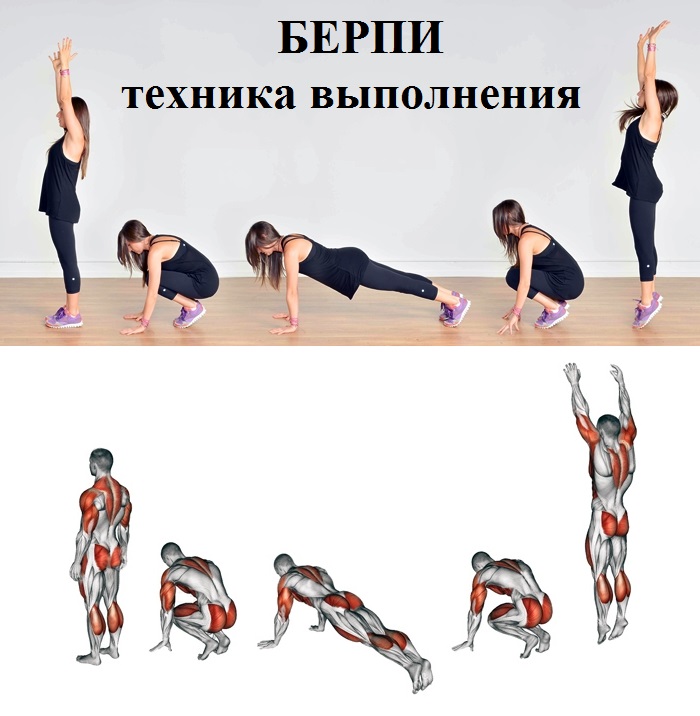 Упражнение берпи – интенсивная тренировка для всего тела