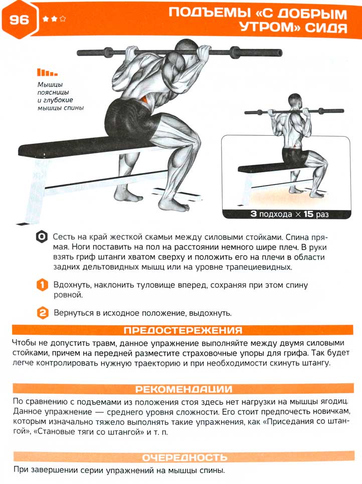Упражнение «доброе утро»: техника выполнения наклонов со штангой | rulebody.ru — правила тела