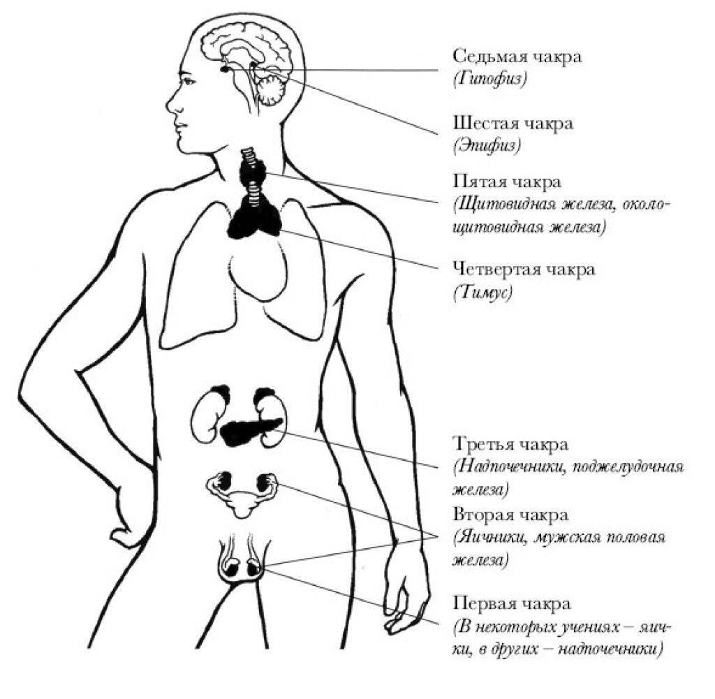 Рисунок моники 7 точек