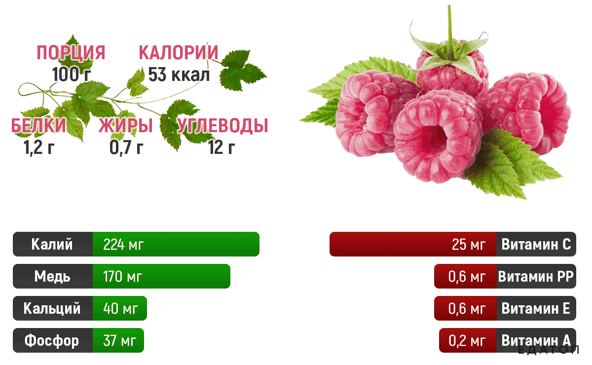 Калорийность свежей малины на 100 грамм, интересности о ягоде