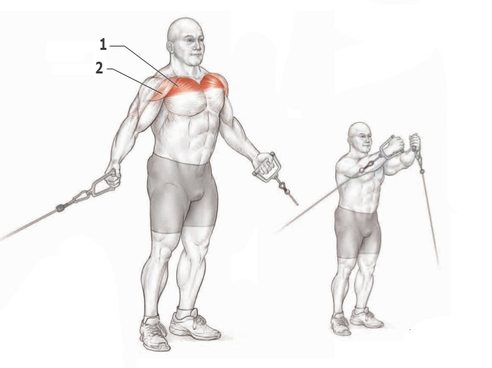 Сведение рук – упражнения в кроссовере на верхних блоках: вариации для верха и середины груди | rulebody.ru — правила тела