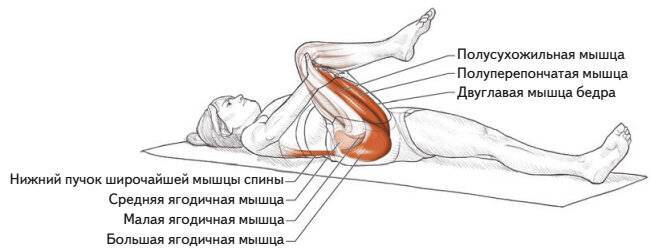 Растяжение сухожилий, связок и мышц
