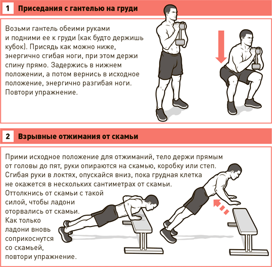 Гипертрофия мышц: обзор принципов тренировки для увеличения массы мышц. часть 1 | fpa